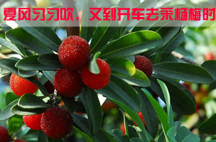 ���L���������ֵ��_܇ȥ�ɗ�÷�r811--
